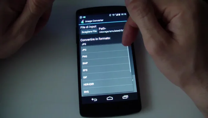 Seleziona il formato di output desiderato.