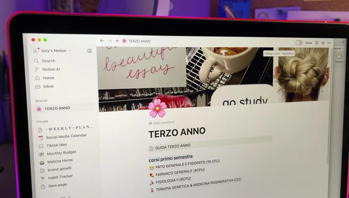 Crea una pagina dedicata all'università. Organizzala con sezioni per: informazioni generali sui corsi, calendario settimanale, 'Habit Tracker' per monitorare le abitudini di studio, e una sezione specifica per ogni materia.