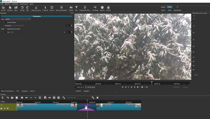 Oppure utilizzare la scorciatoia da tastiera 'Ctrl+X' (o 'Cmd+X' su Mac).