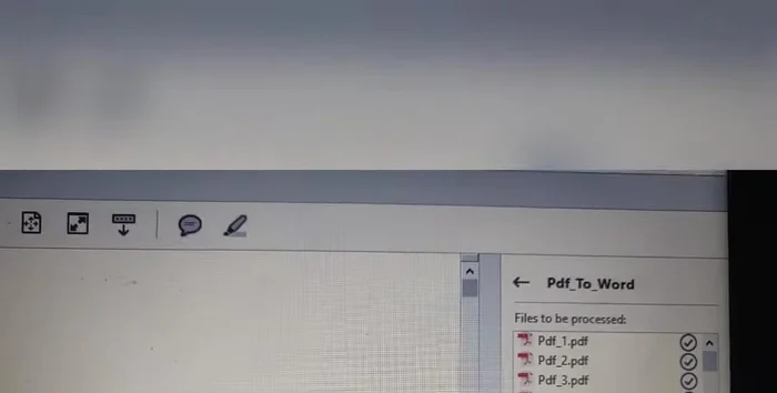 Avviare l'azione personalizzata "PDF in Word".