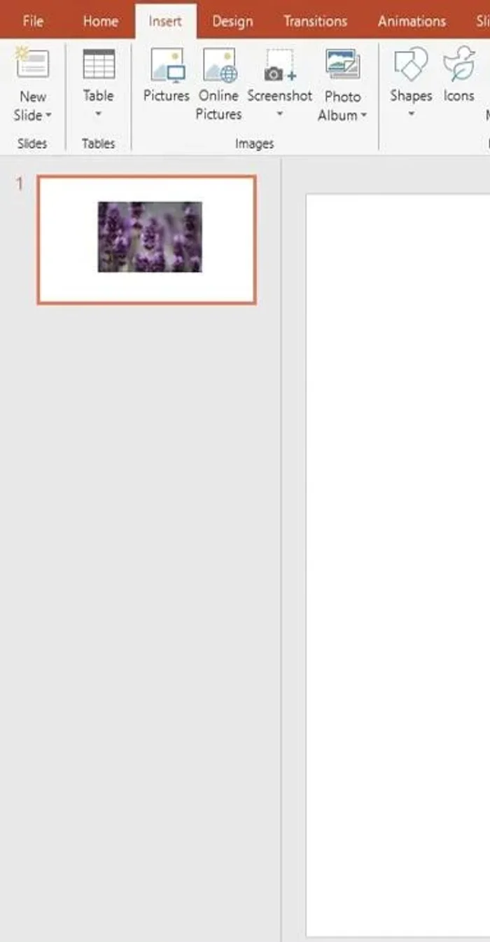 Cliccare con il tasto destro sull'immagine e selezionare 'Porta indietro'.