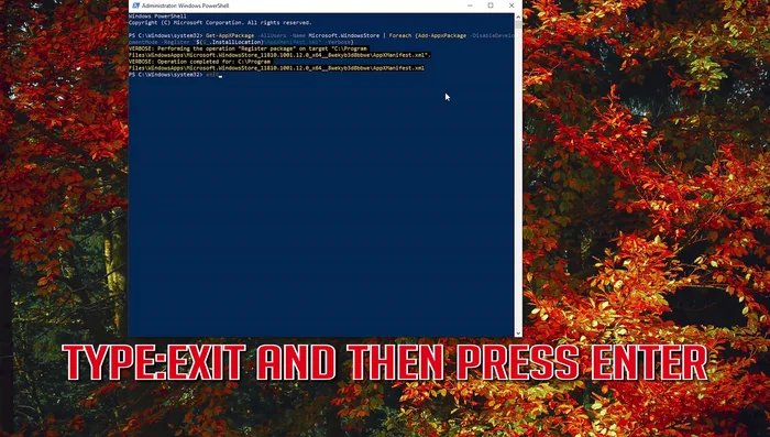 Digita 'esci' e premi Invio