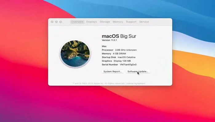 Selezionare "Aggiornamenti software".