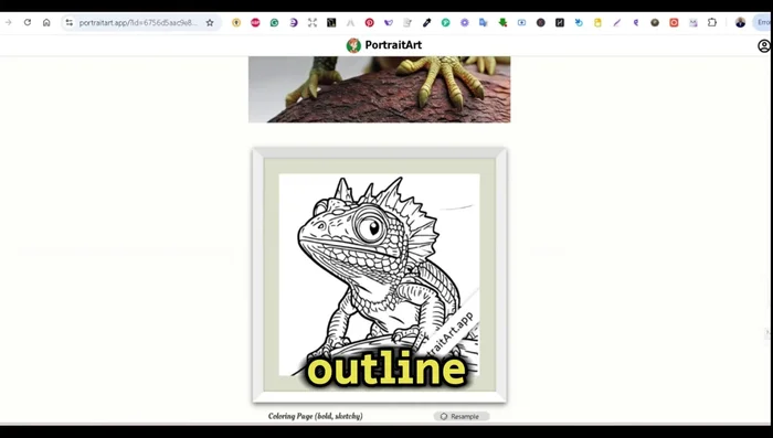 Seleziona l'opzione "Pagina da colorare in grassetto e abbozzato" per ottenere un contorno.