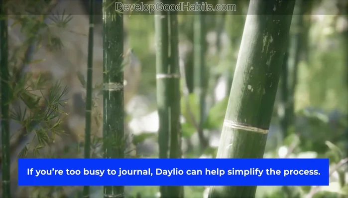 Registra le tue emozioni in modo semplice e visivo con Daylio, scegliendo tra icone che rappresentano il tuo stato d'animo e monitorando i modelli nel tempo.