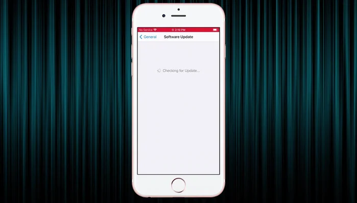 Inserire il codice di accesso per confermare l'aggiornamento.