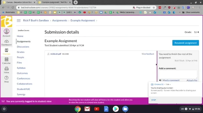 Se necessario, clicca su "Espandi schermo" per una migliore visualizzazione del feedback su dispositivi come Chromebook.