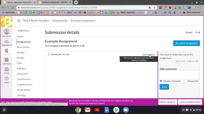 Se necessario, clicca su "Espandi schermo" per una migliore visualizzazione del feedback su dispositivi come Chromebook.