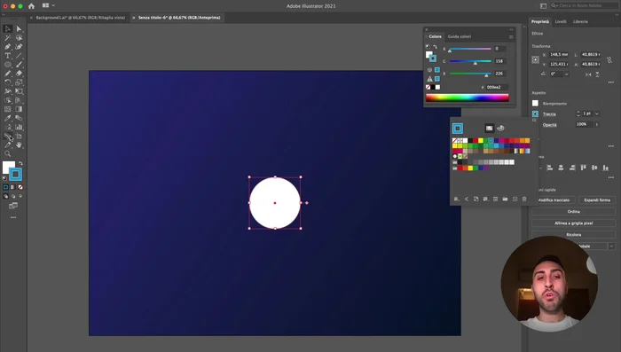 Assegnare a entrambi i cerchi un colore di traccia (azzurro per il cerchio più piccolo, blu scuro per quello più grande), rimuovendo il riempimento.