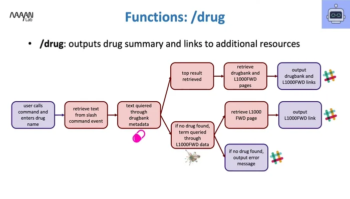 Spiegazione del funzionamento di Drugbot: utilizzo dei comandi slash ('/drug [nome del farmaco]') per ottenere riepiloghi e informazioni sui farmaci.