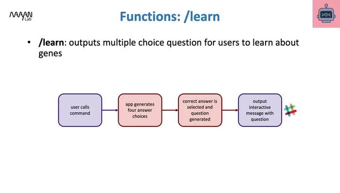 Descrizione della funzione di apprendimento ('/learn') in Genebot: un quiz interattivo per testare la conoscenza dei geni.