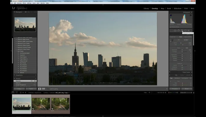 Seleziona il filtro graduale (premendo 'M' o cliccando sull'icona corrispondente).
