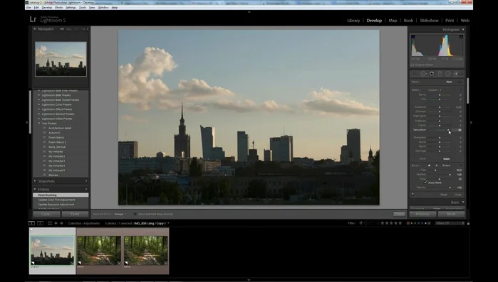 Regola le impostazioni (esposizione, saturazione, ecc.).
