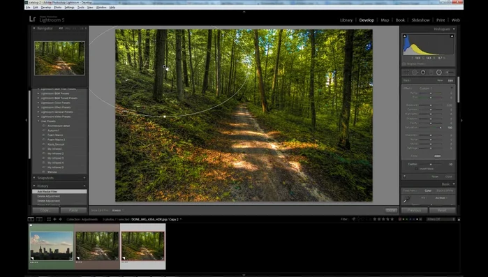 Attiva/disattiva "Inverti Maschera" per applicare le modifiche all'interno o all'esterno dell'area selezionata.