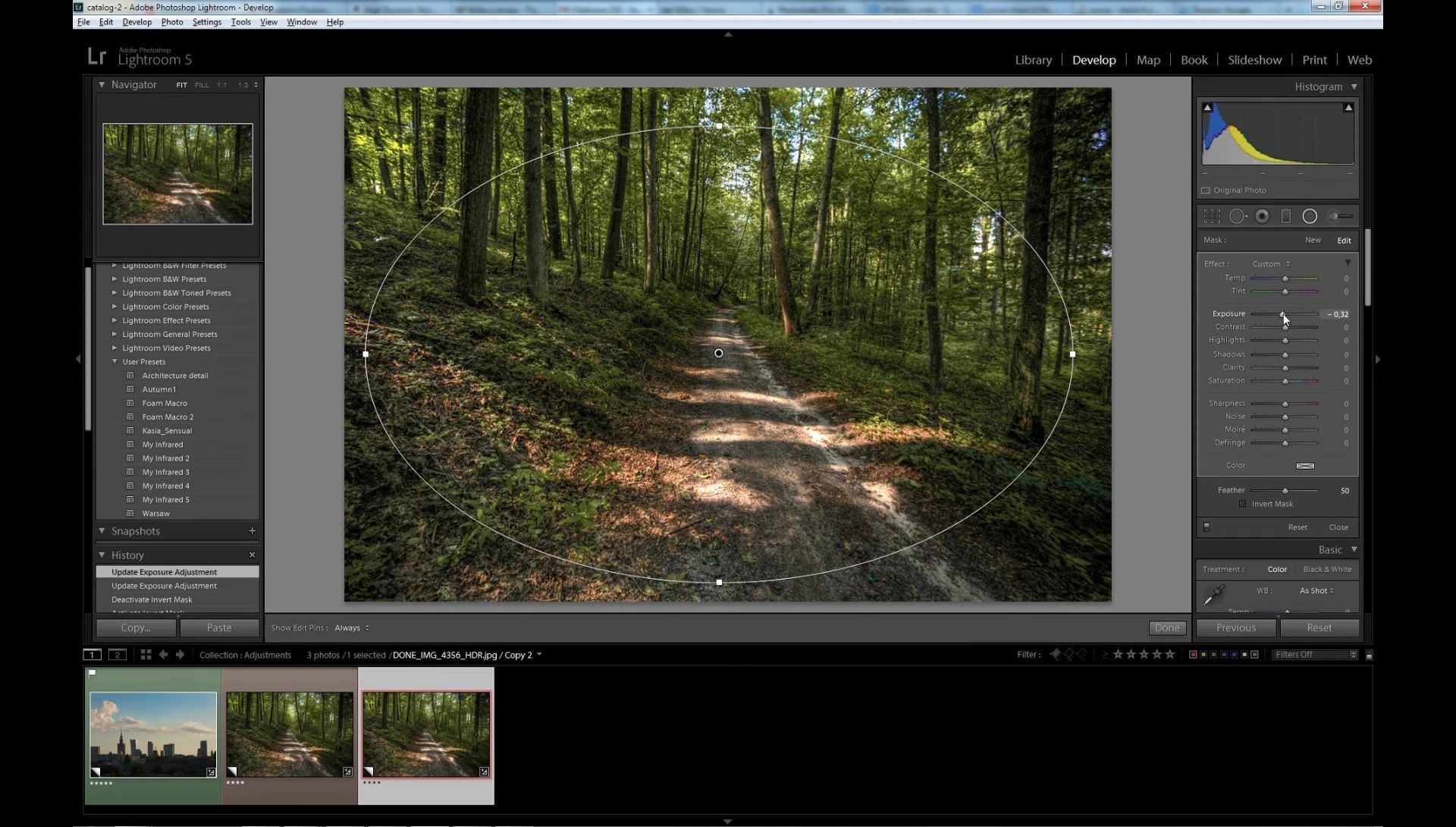 Lightroom 5: Guida Definitiva alle Regolazioni Selettive per Foto Perfette