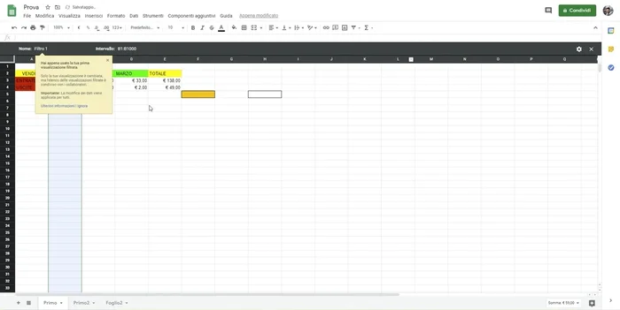 Applicazione di filtri: creare un filtro per visualizzare solo i dati che soddisfano determinati criteri.