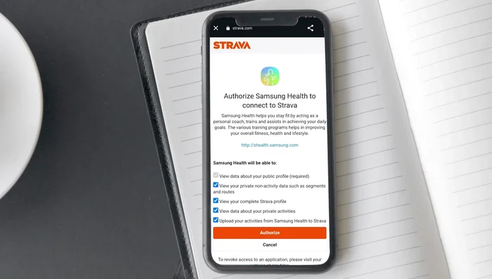 Verifica la connessione su Strava.