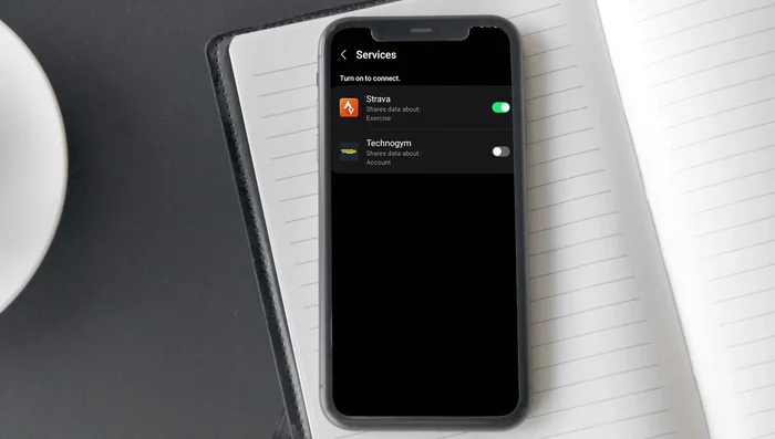 Verifica la connessione su Strava.