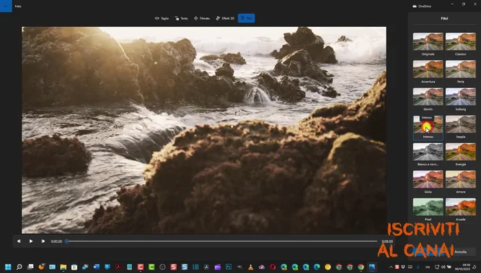 Visualizzare l'anteprima del filtro applicato.
