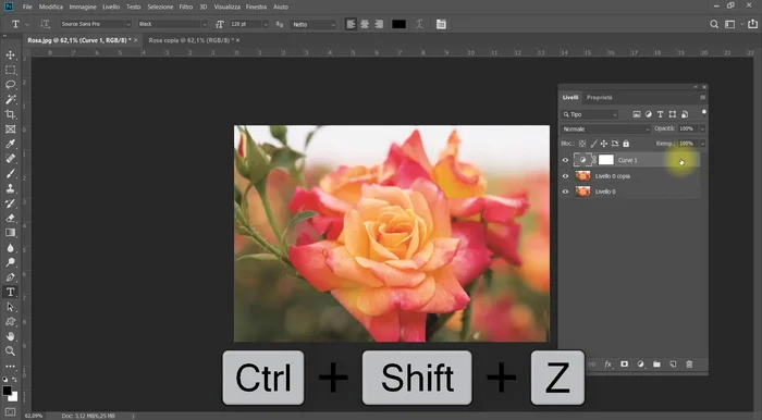 Premere Ctrl+Shift+Z per ripristinare l'ultima operazione annullata.