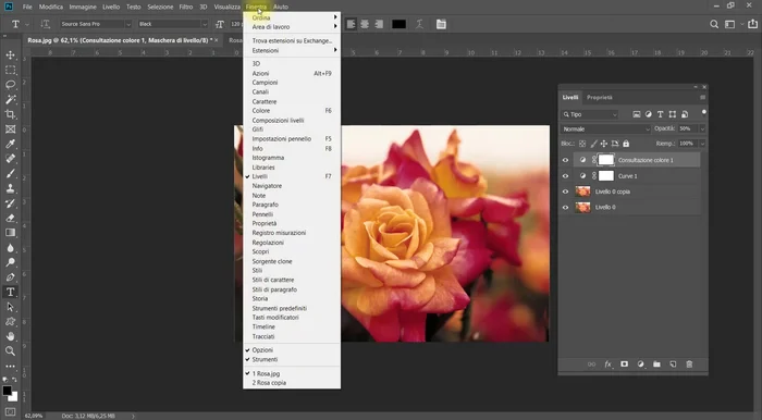Aprire il pannello Cronologia (Finestra > Cronologia).