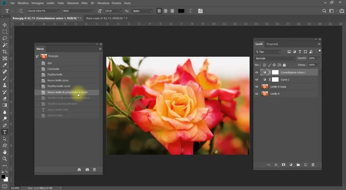Visualizzare gli stati precedenti del documento cliccando sui vari stati.