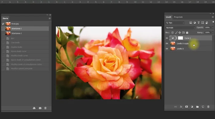 Salvare l'immagine con uno specifico stato selezionato nel pannello Cronologia.