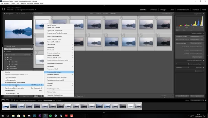 Seleziona le impostazioni da sincronizzare e clicca su 'Sincronizza'.
