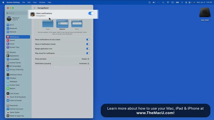 Gestisci i suoni di notifica: attiva o disattiva i suoni di avviso per ogni notifica.
