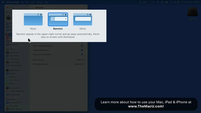Gestisci i suoni di notifica: attiva o disattiva i suoni di avviso per ogni notifica.