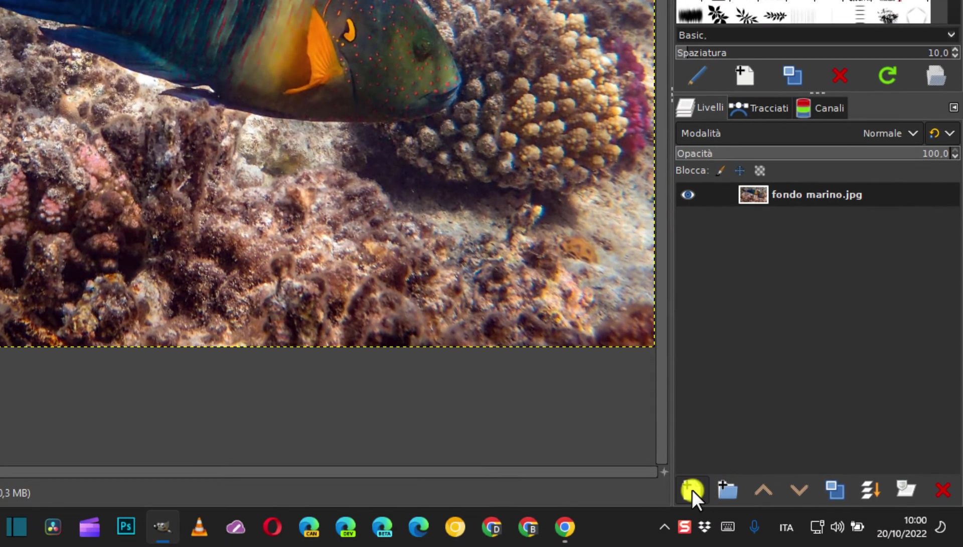 Configurazione Righello, Griglia e Guide su GIMP: Guida Completa