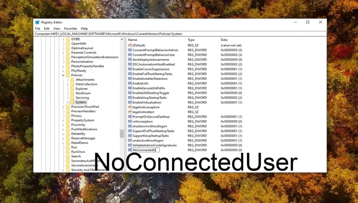 Denominare il nuovo valore "NoUserConnected" (senza maiuscole, senza spazi).