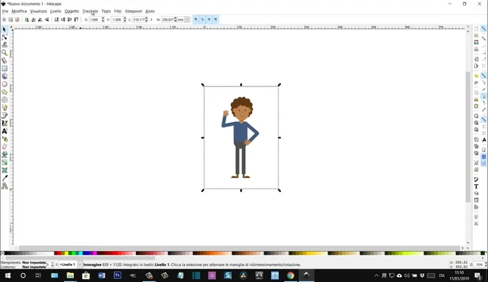 Cliccare su 'OK' per applicare la vettorializzazione.