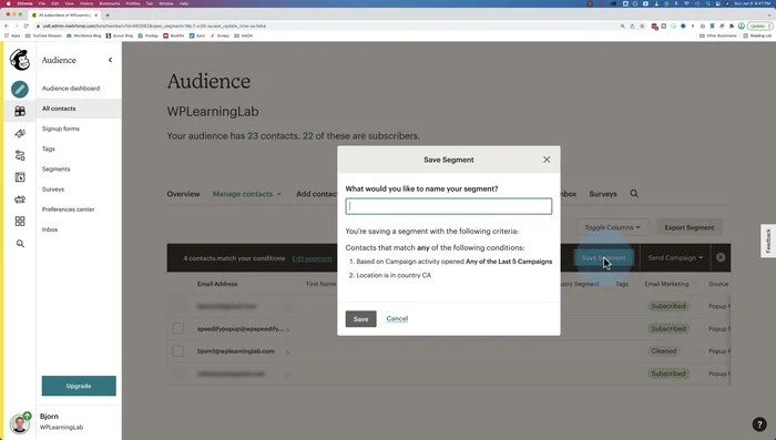 Clicca su 'Salva segmento' e dai un nome al tuo segmento.
