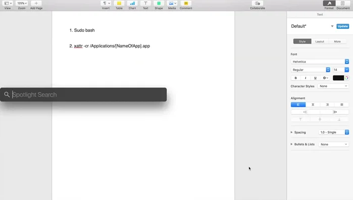 Digita il comando `sudo bash` e premi Invio. Inserisci la password del tuo computer quando richiesto.