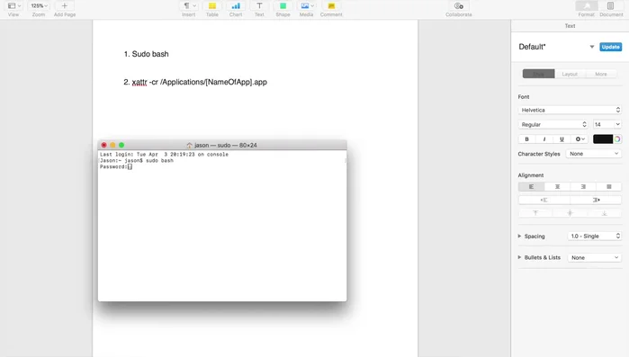 Digita il comando `sudo bash` e premi Invio. Inserisci la password del tuo computer quando richiesto.