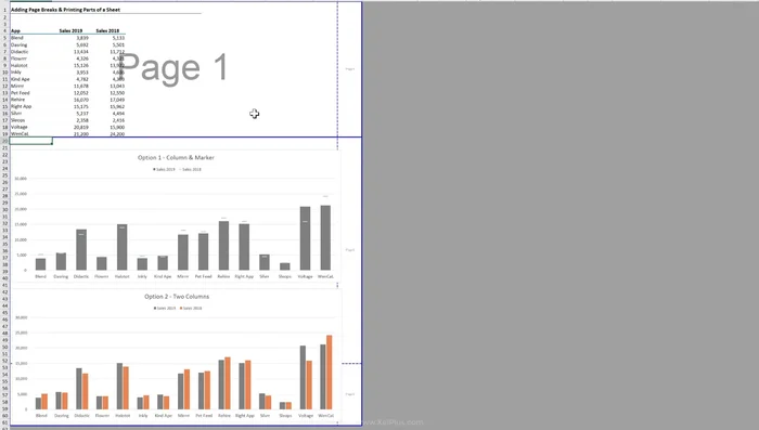 Anteprima interruzione di pagina: visualizza l'anteprima per verificare il posizionamento delle interruzioni di pagina.