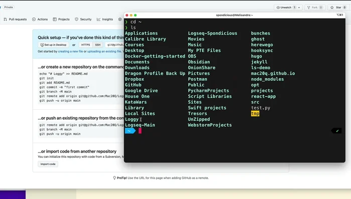 Inizializza il repository Git: `git init`