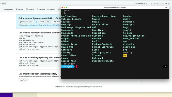 Inizializza il repository Git: `git init`